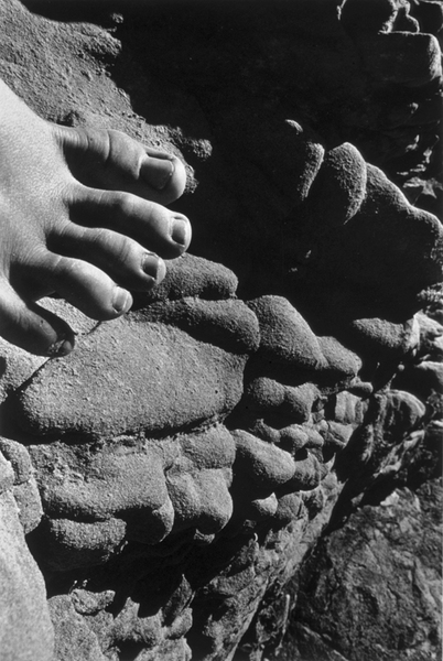 Stefani's Toes